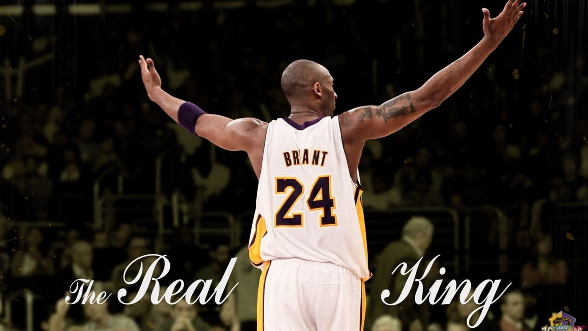 世界杯后:球迷请愿保留“多语种解说+现场环境音”作为赛事标配